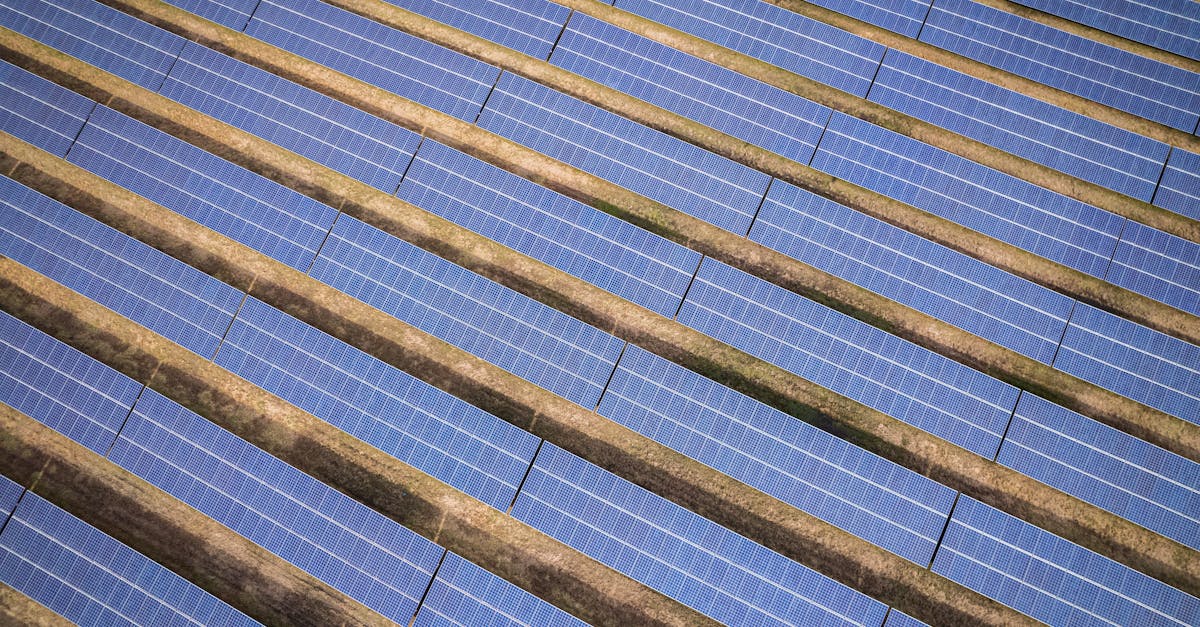 Stratégies environnementales : 5 clés pour un développement durable réussi