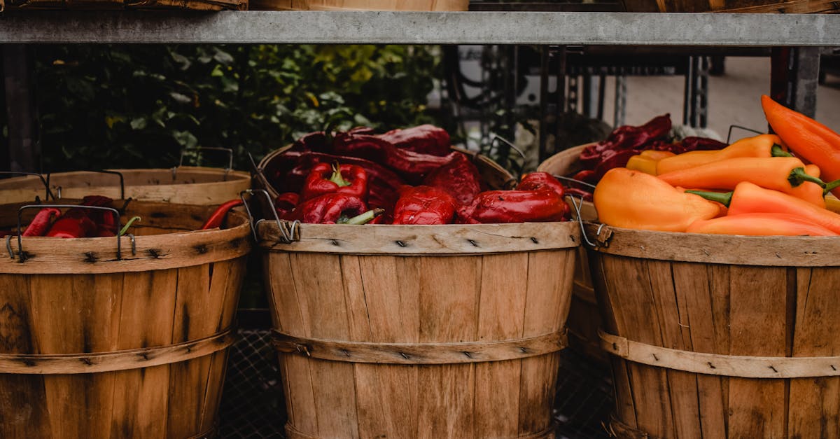 Agriculture urbaine : comment transformer les villes en jardins productifs