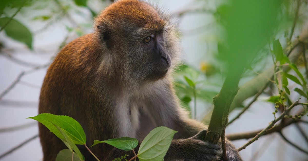 Politiques environnementales : comprendre leur impact sur la santé de notre planète