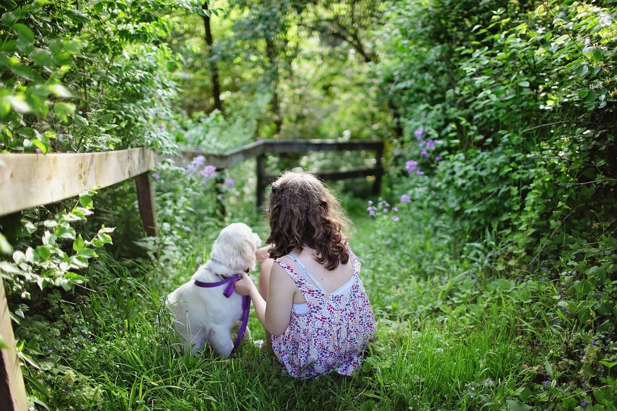 Empreinte carbone des animaux de compagnie : comprendre leur impact et agir pour un avenir plus vert – ICI