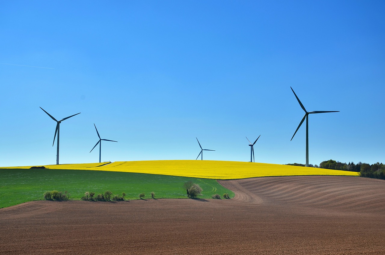Harmoniser l’expansion mondiale avec des pratiques durables pour l’environnement
