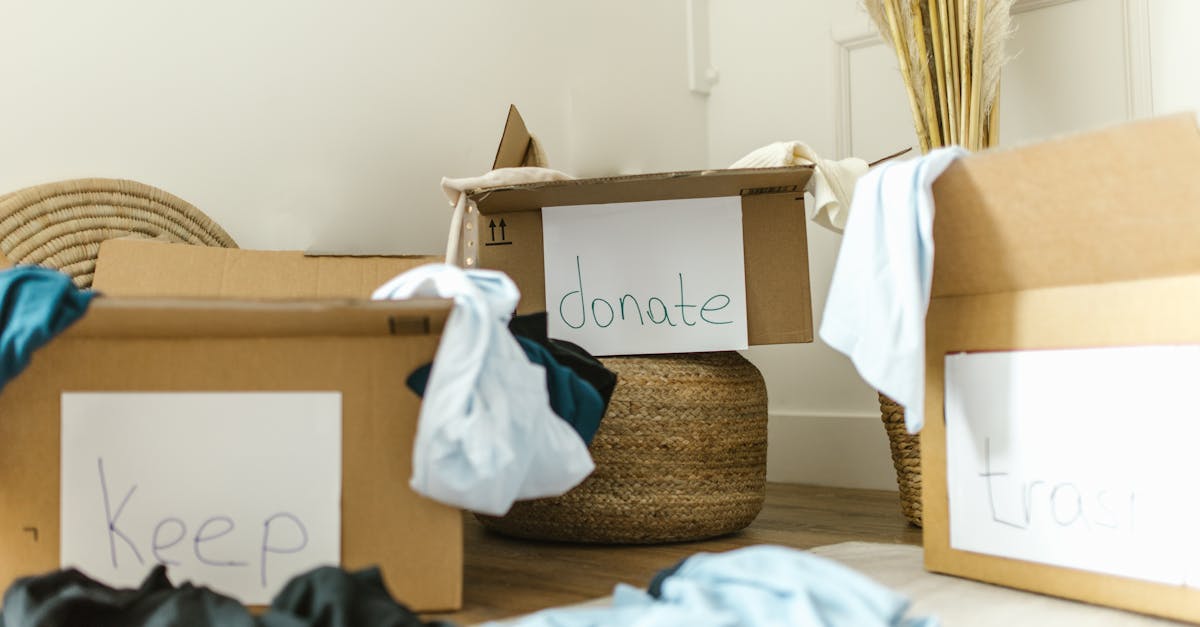 Solutions écologiques : 10 astuces pratiques pour un mode de vie durable
