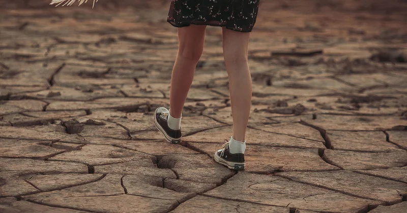 En entreprise, comment s'engager dans un parcours d'adaptation au changement climatique ?