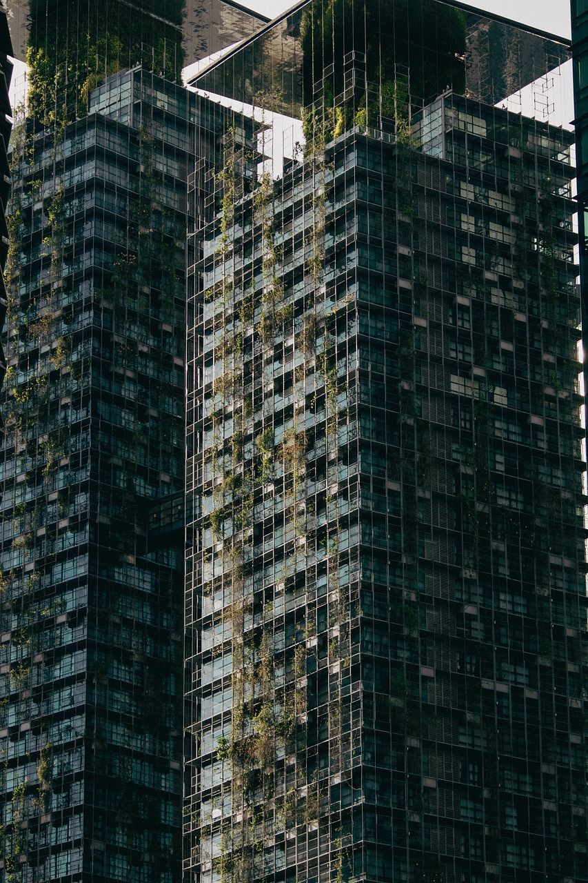 Sécuriser le numérique tout en préservant la planète : la voie vers une transformation éco-responsable des infrastructures IT en entreprise