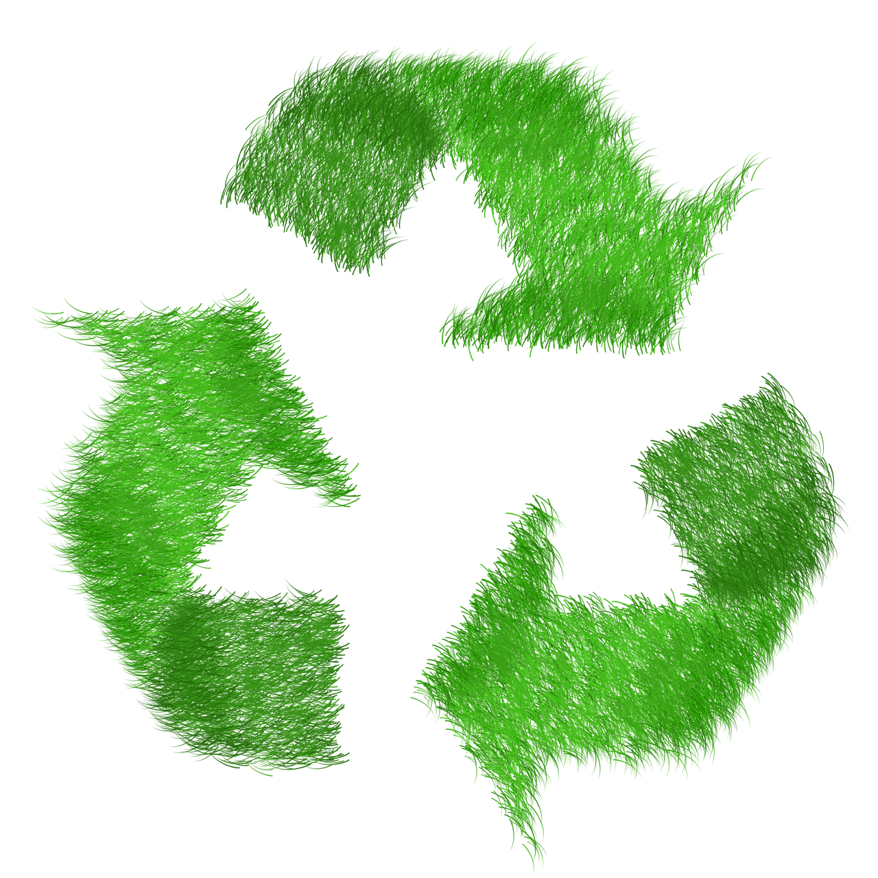 Le piège courant du recyclage que vous ignorez (et qui compromet tout) – TRUC MANIA