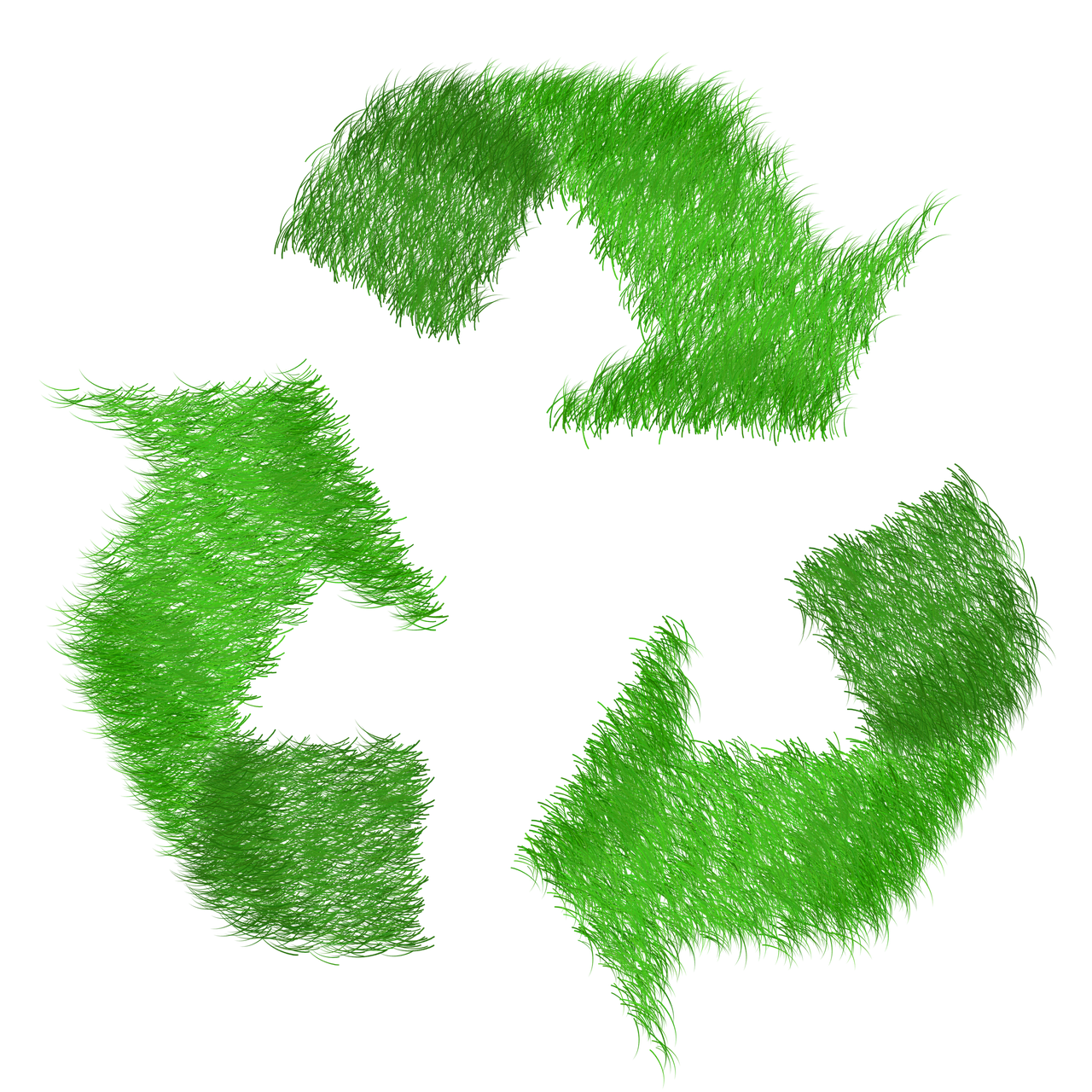 Le piège courant du recyclage que vous ignorez (et qui compromet tout) – TRUC MANIA