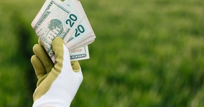Investissement vert : comment investir de manière durable pour un avenir meilleur