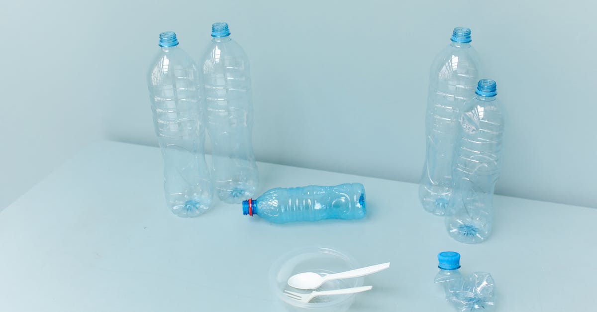 Responsabilité environnementale : Pourquoi chaque entreprise doit agir maintenant