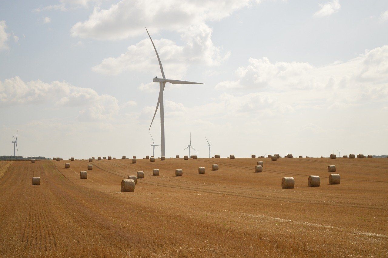 Les prairies et légumineuses : les piliers d’une agriculture durable à faible empreinte carbone, d’après The Shift Project