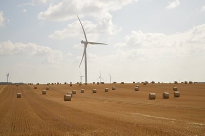 Les prairies et légumineuses : les piliers d’une agriculture durable à faible empreinte carbone, d’après The Shift Project