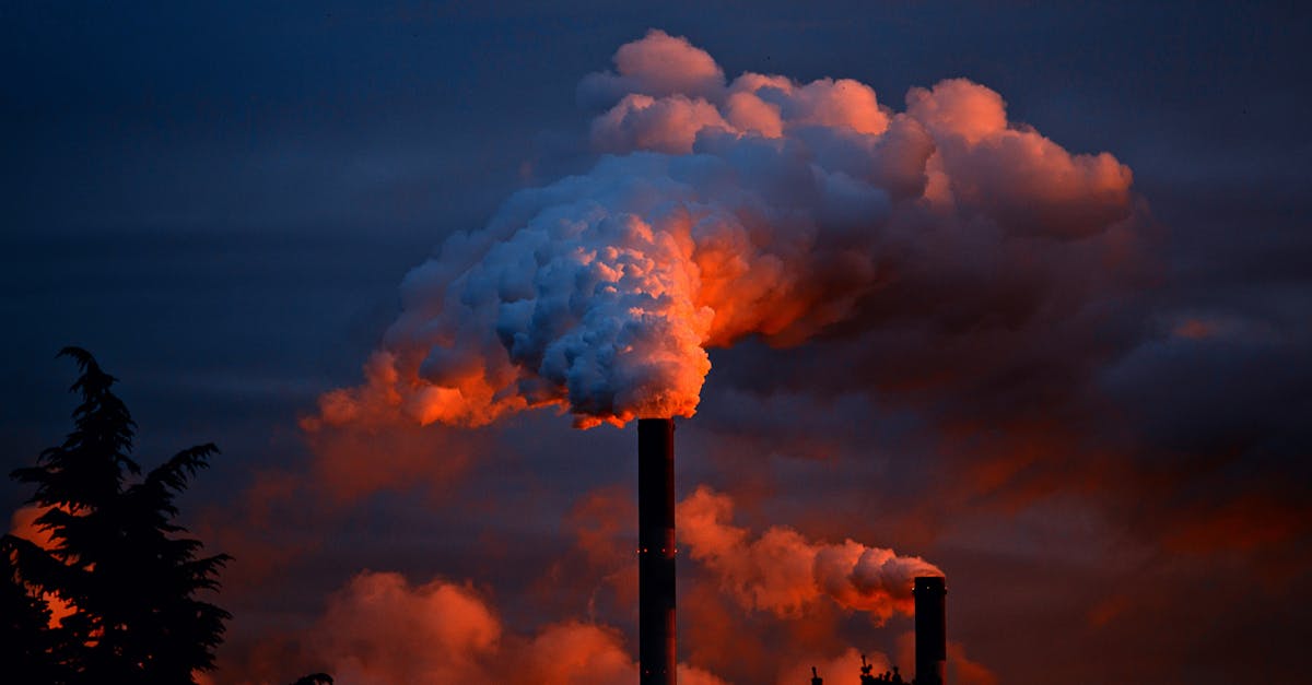 Impact environnemental : comprendre ses effets sur nos écosystèmes
