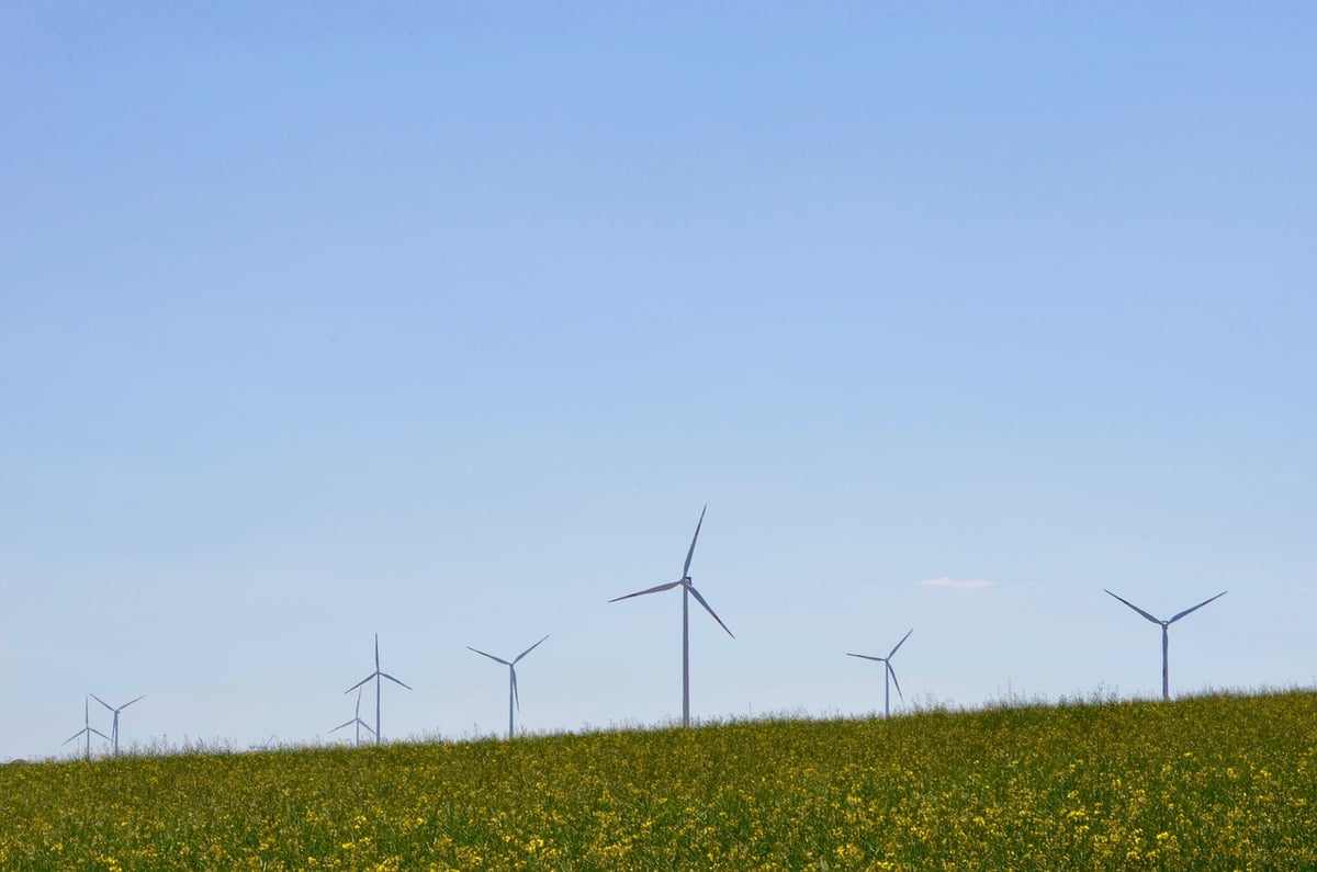 Quand la transition écologique s’invite au cœur des expositions muséales