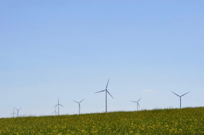 Quand la transition écologique s’invite au cœur des expositions muséales