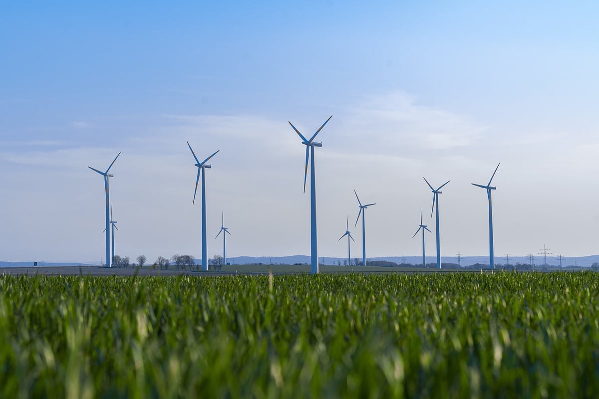 Engagement envers la durabilité : la responsabilité sociale et environnementale