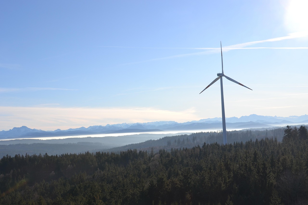 Transition écologique : défis et opportunités pour transformer votre entreprise