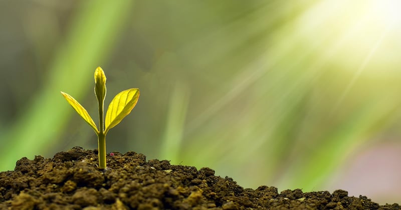 Comment financer sa transition écologique entreprise sans se ruiner
