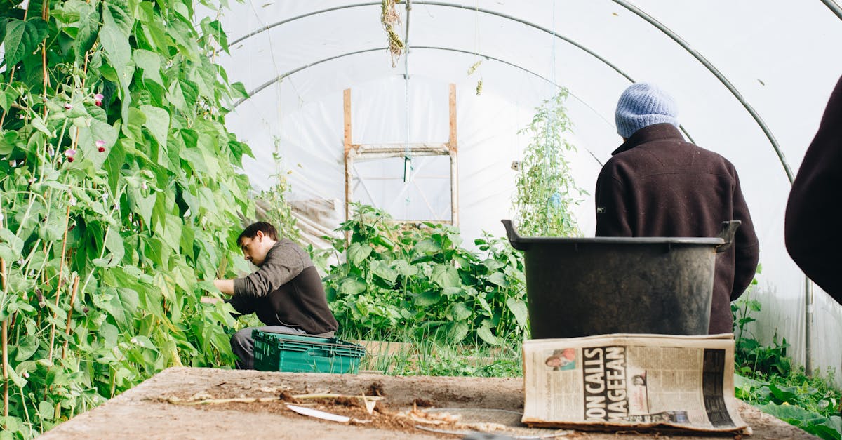 Agriculture durable : pratiques et bénéfices pour l’environnement