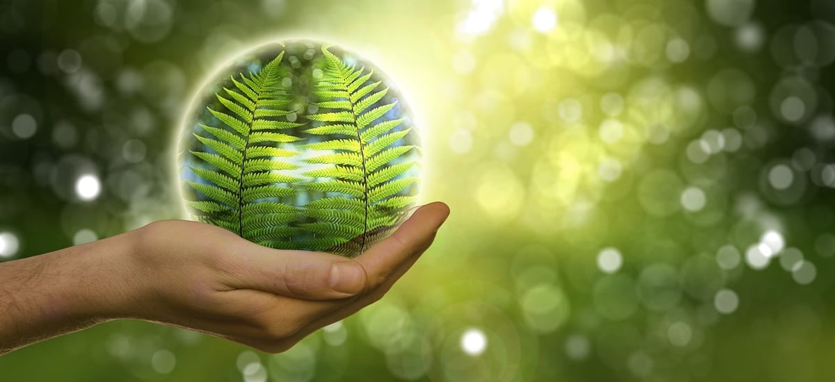 Les KPIs environnementaux : clé pour guider la transition écologique d’une entreprise responsable