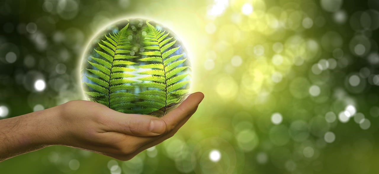 Les KPIs environnementaux : clé pour guider la transition écologique d’une entreprise responsable