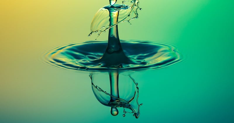 Blog d'actualités et d'informations : comprendre l'écologie et le climat au quotidien