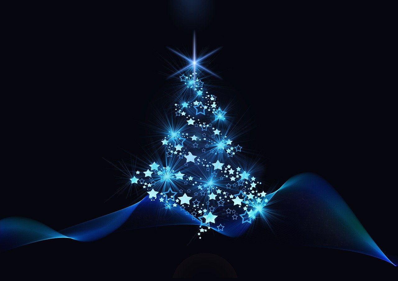 Sapin de Noël : Naturel ou Synthétique, quel choix pour notre planète ?