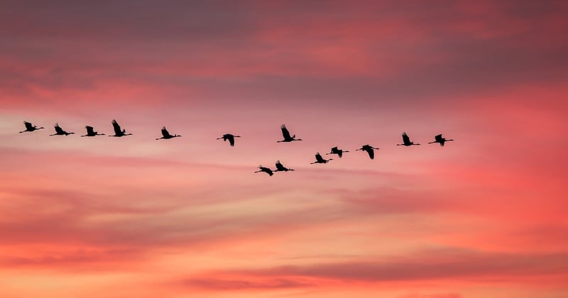 Former équipes entreprise aux enjeux climatiques : le levier qui change tout