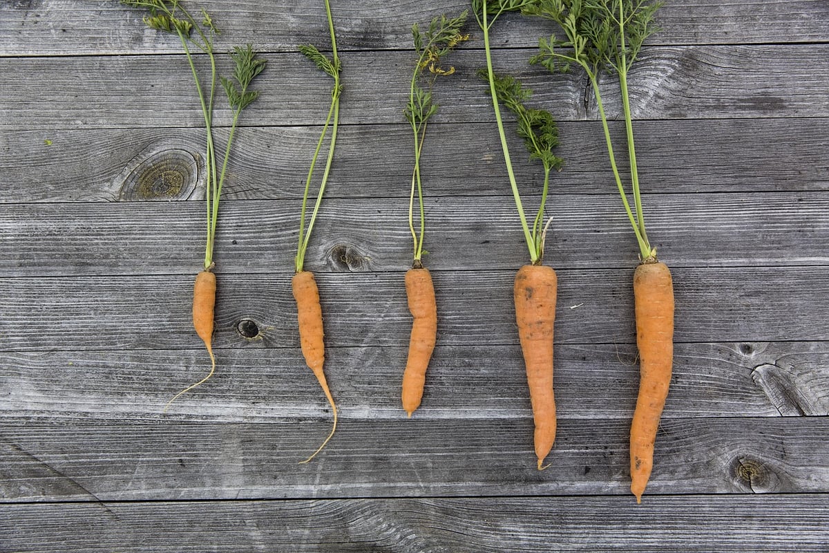 des légumes