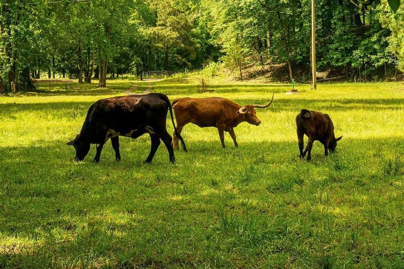 Empreinte carbone : Définition, exemples, calcul, impacts et chiffres clés