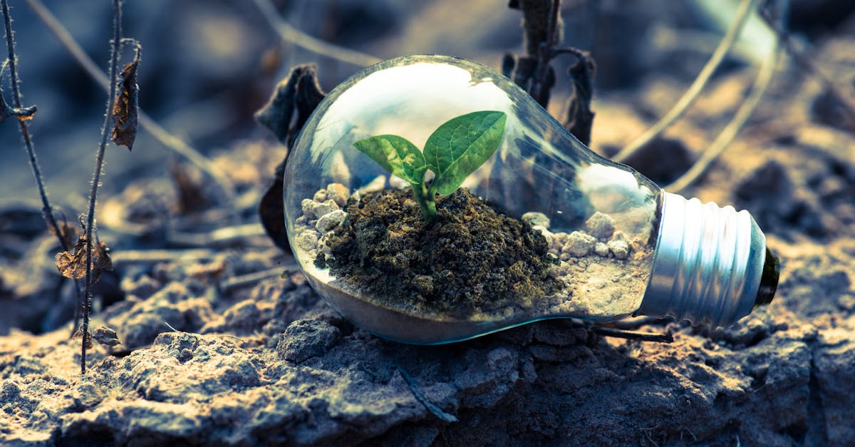 Conceptions innovantes pour un futur durable : vers un monde plus vert