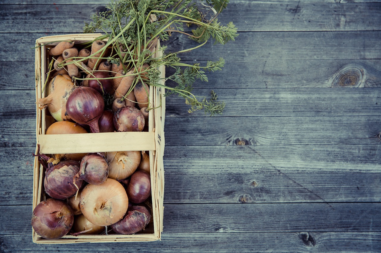 Comment nos choix alimentaires façonnent l’avenir de la planète : impact environnemental de l’alimentation
