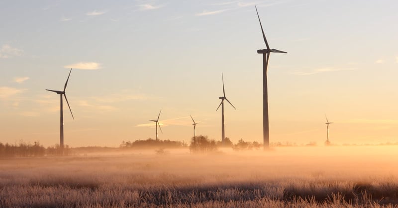Collaboration pour la durabilité : Comment travailler ensemble pour un avenir écologique