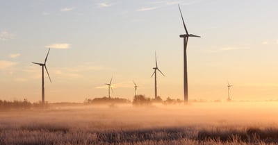 Collaboration pour la durabilité : Comment travailler ensemble pour un avenir écologique
