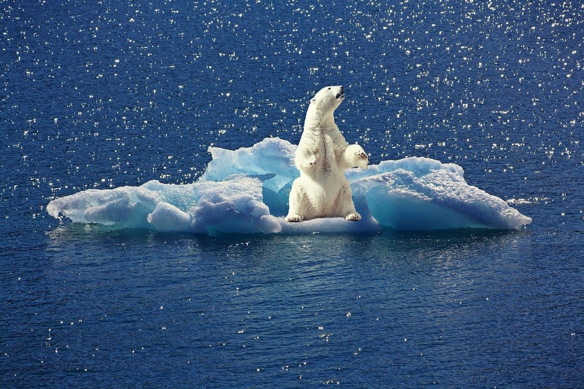 Stratégies pour anticiper les risques climatiques et renforcer sa résilience face aux défis environnementaux