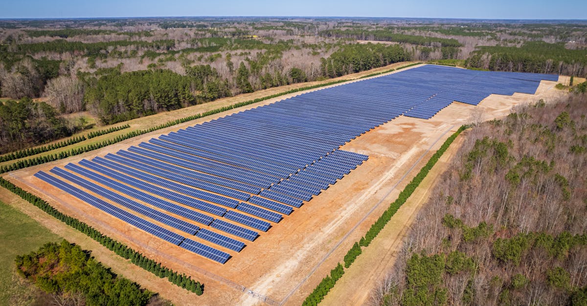 Développement durable : Comment adopter des pratiques écoresponsables au quotidien