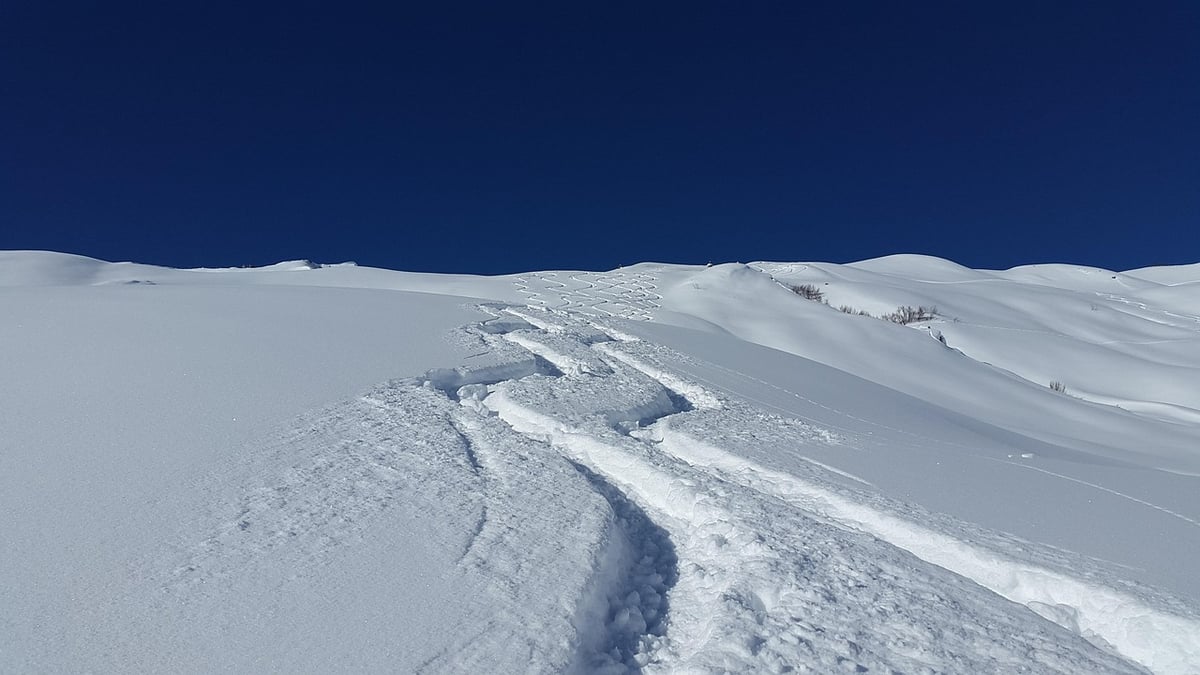 Les Alpes face au déclin de l’or blanc : quel avenir pour la région ?