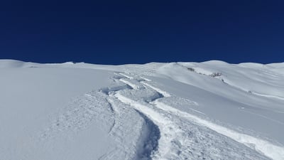Les Alpes face au déclin de l’or blanc : quel avenir pour la région ?