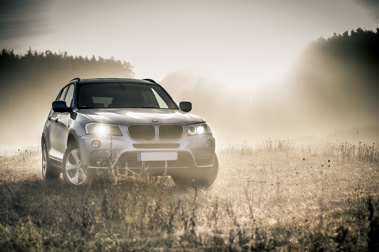 Union Nationale des Activités Automobiles en France