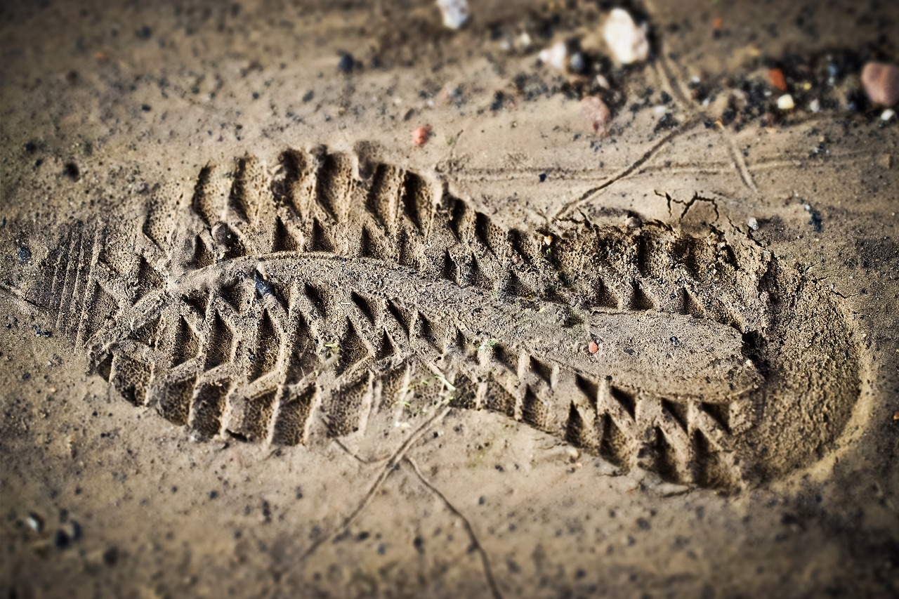 découvrez tout sur l'empreinte carbone, un indicateur clé de l'impact environnemental des activités humaines. apprenez comment la mesurer, l'importance de la réduire et les actions à entreprendre pour un avenir plus durable.