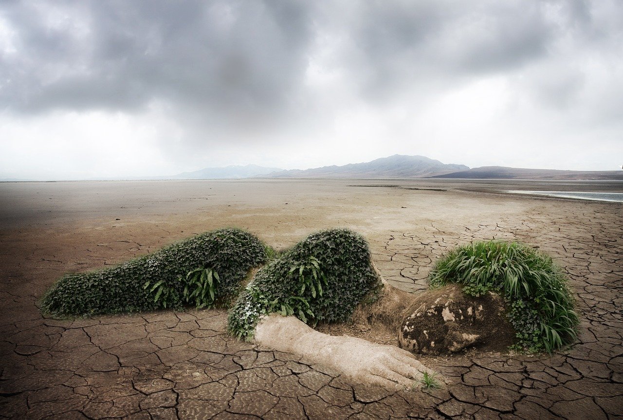 découvrez des stratégies et des initiatives pour la protection de l'environnement, explorez l'importance de la durabilité et apprenez comment vous pouvez contribuer à la préservation de notre planète pour les générations futures.