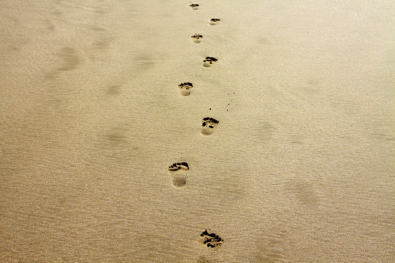 découvrez tout sur l'empreinte carbone : définition, importance et comment réduire son impact environnemental au quotidien. des conseils pratiques pour un mode de vie durable.