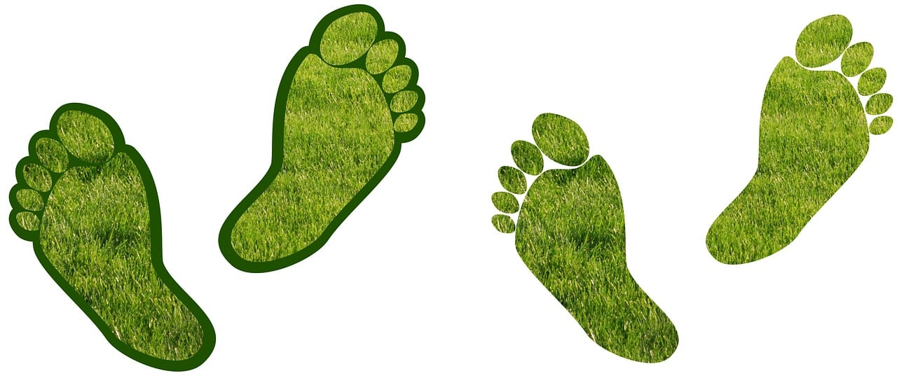 découvrez ce qu'est l'empreinte carbone, son impact sur l'environnement et comment réduire votre contribution personnelle. apprenez des astuces pratiques pour adopter un mode de vie plus durable et contribuer à la lutte contre le changement climatique.