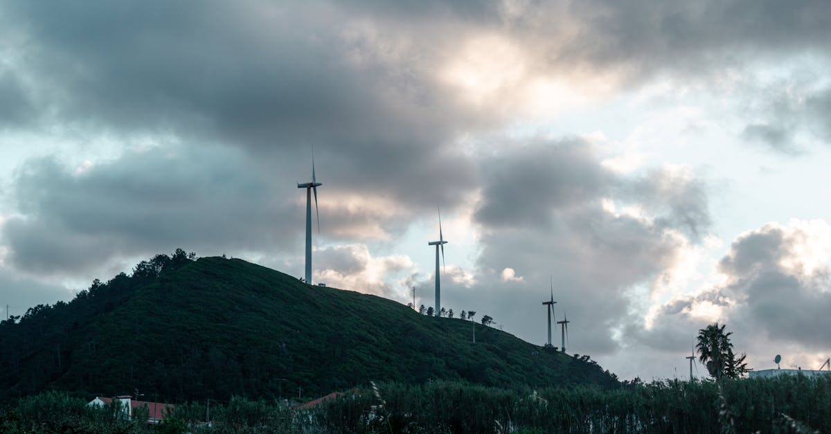 découvrez des conseils pratiques sur l'efficacité énergétique pour réduire votre consommation d'énergie, faire des économies sur vos factures et contribuer à la protection de l'environnement. optimisez votre habitat grâce à des solutions durables et adaptées.