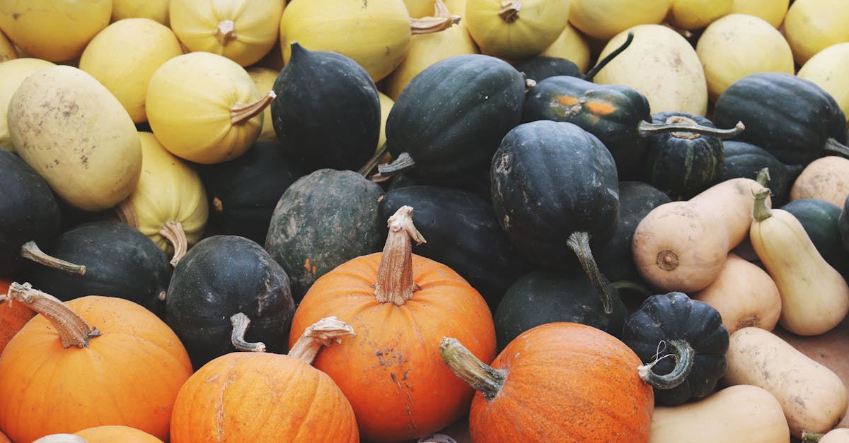 découvrez comment les systèmes alimentaires durables peuvent transformer notre façon de manger en préservant l'environnement, en soutenant les communautés locales et en garantissant une alimentation saine pour tous. explorez des pratiques innovantes et des solutions pour un avenir alimentaire responsable.