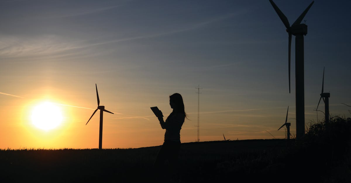 découvrez l'importance de la durabilité dans notre monde moderne. explorez des pratiques éco-responsables, des innovations vertes et des solutions pour un avenir durable. engagez-vous pour la planète et apprenez à intégrer la durabilité dans votre quotidien.