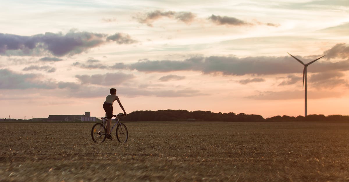 découvrez l'importance de la durabilité dans notre monde moderne. explorez des pratiques écoresponsables, des innovations vertes et des solutions pour un avenir durable.