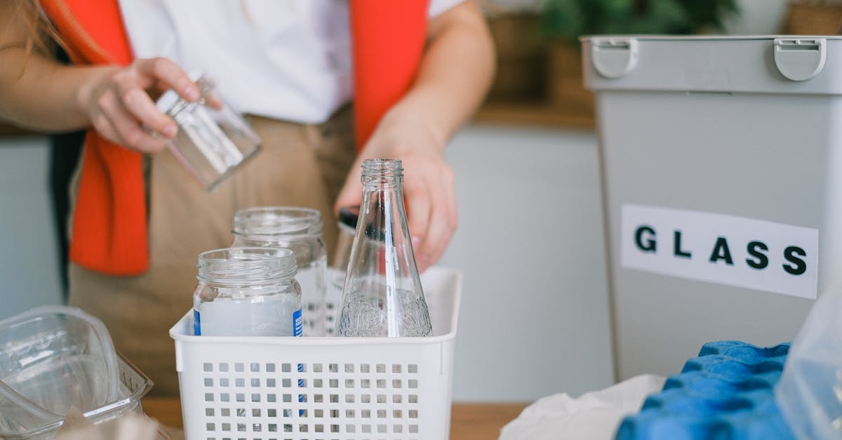 Économie verte : Comment les entreprises peuvent adopter des pratiques durables