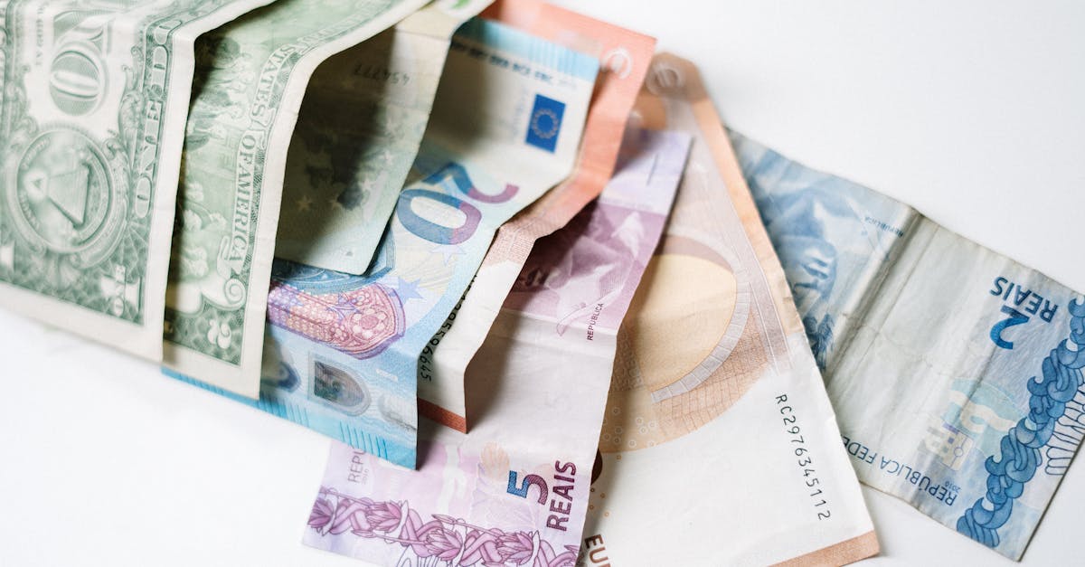 Financement vert : Comment soutenir les projets écologiques pour un avenir durable