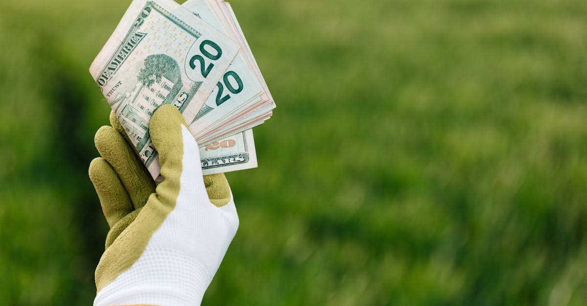 Investissement vert : comment investir de manière durable pour un avenir meilleur