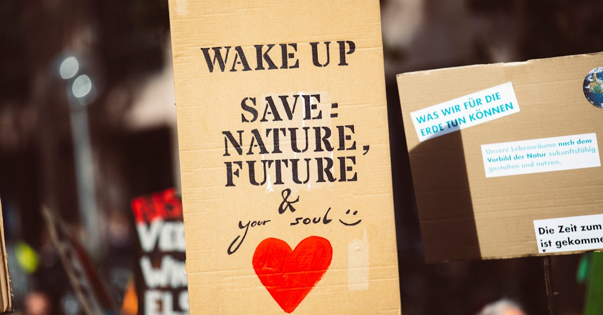 Plan d’action environnemental : Stratégies innovantes pour préserver notre planète
