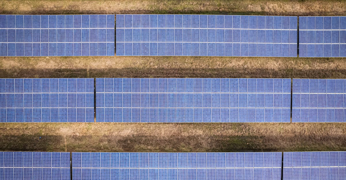 Politiques de développement durable : stratégies innovantes pour une croissance responsable